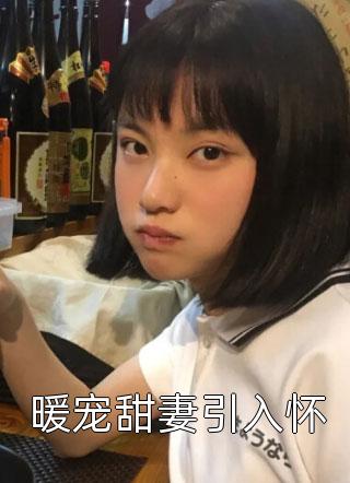 精品推荐宋以朗林苏结局 小说免费